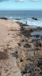 GC-Playa de Cabron 2026-68.jpg